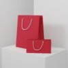 Crimson Chic 1