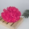 Fuchsia Pink