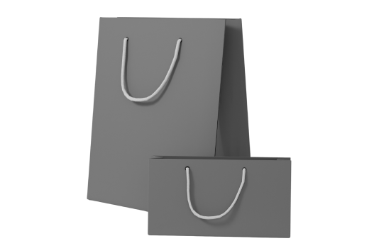 Solid Paper Bags