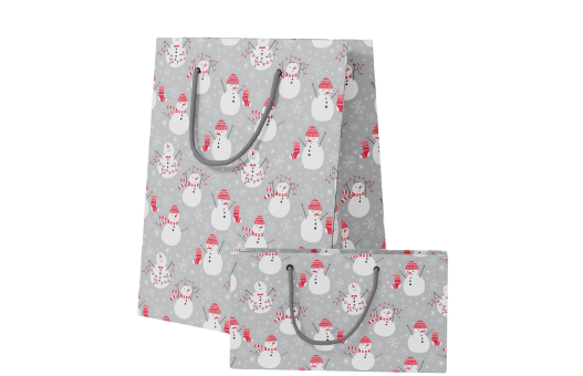 Printed Paper Bags
