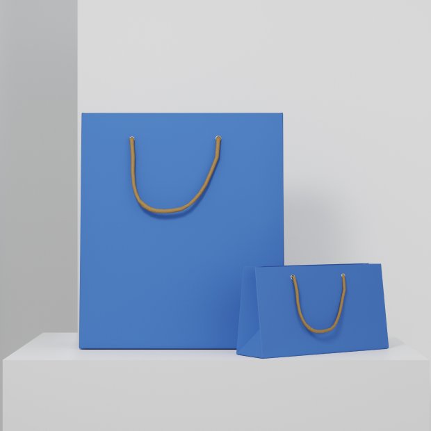 Solid Paper Bags